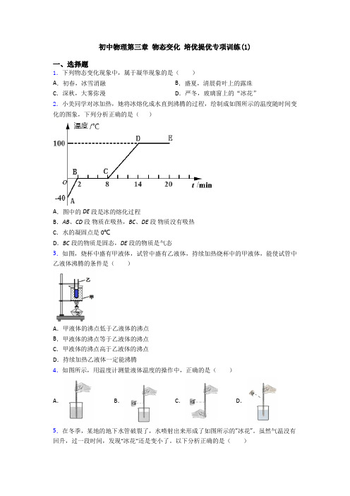 初中物理第三章 物态变化 培优提优专项训练(1)