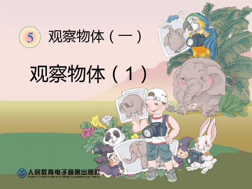 观察物体课件(1)