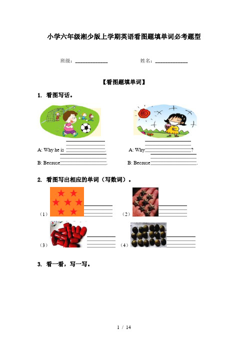 小学六年级湘少版上学期英语看图题填单词必考题型