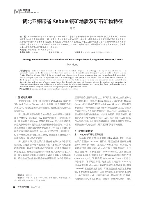 赞比亚铜带省Kabula铜矿地质及矿石矿物特征