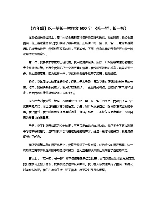 【六年级】吃一堑长一智作文600字 《吃一堑,长一智》