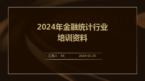 2024年金融统计行业培训资料