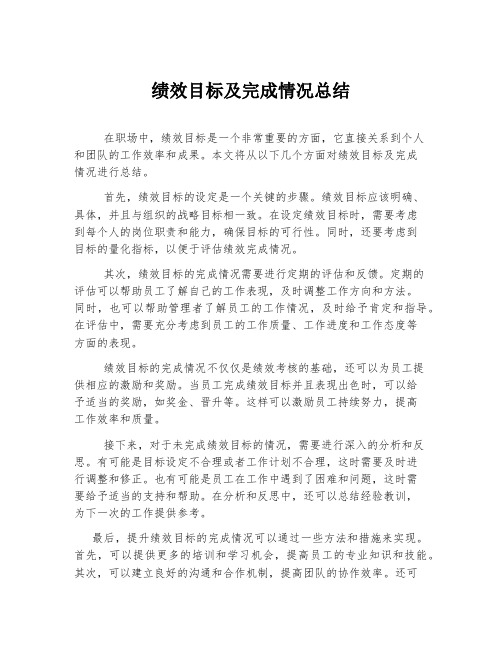 绩效目标及完成情况总结