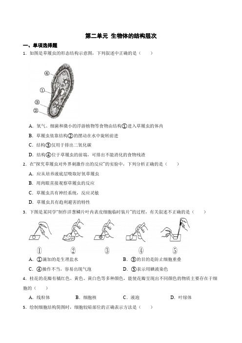 第二单元生物体的结构层次单元测试(含答案)人教版(新课程标准)初中生物七年级上册