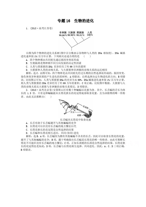 2019年高考生物真题集锦【专题16】生物的进化(含答案)