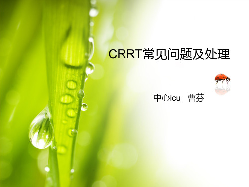 CRRT常见问题及处理