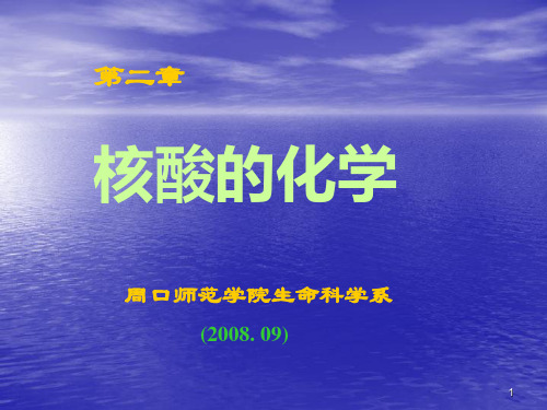 生物化学：第二章核酸的化学PPT课件