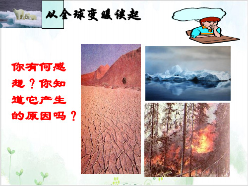 沪粤版初中物理八[上]从全球变暖谈起精美课件