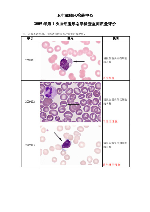 汇总2009-2018 四川省临检中心血细胞形态学图片 室间质量评价