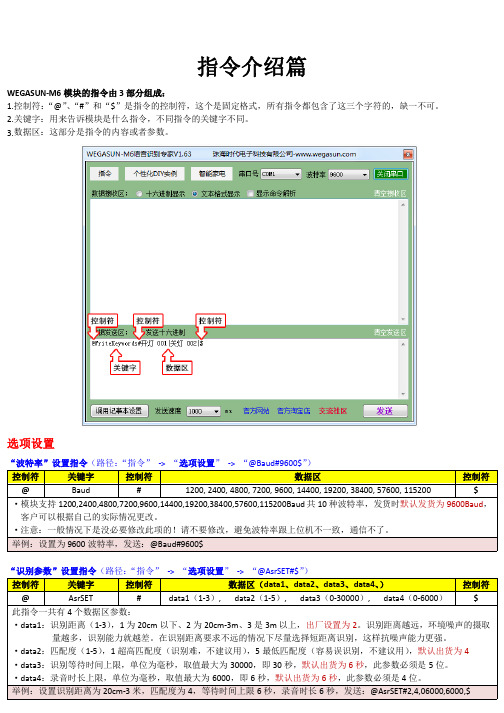 WEGASUN M6指令介绍表V1.0