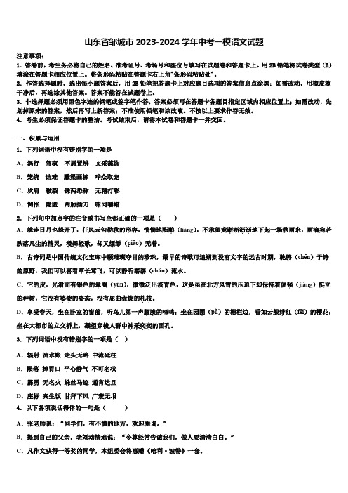 山东省邹城市2023-2024学年中考一模语文试题含解析