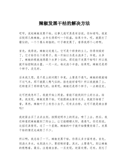 辣椒发黑干枯的解决方法