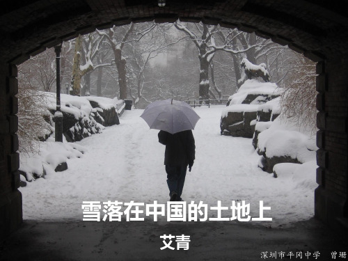 高中语文雪落在中国的土地上优秀公开课课件