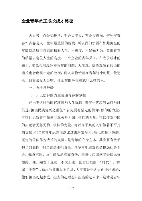 企业青年员工成长成才路径资料