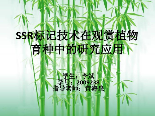 SSR标记技术在观赏植物育种中的研究应用