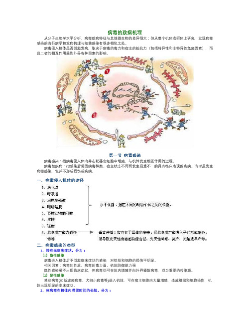 病毒的致病机理