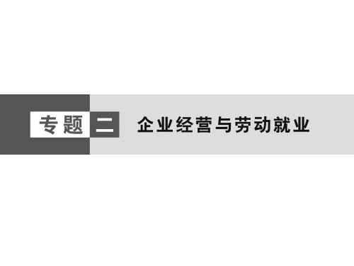 高考(2017届)政治总复习专题2企业经营与劳动就业(课件)