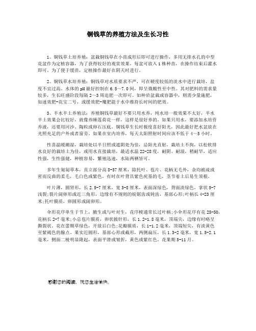 铜钱草的养殖方法及生长习性