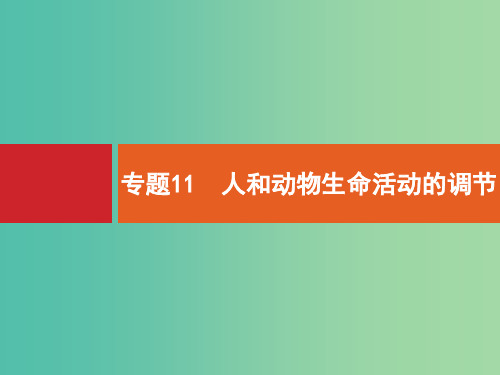 高三生物二轮总复习 专题能力训练卷11 人和动物生命活动的调节