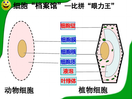 第四节细胞的生活ppt课件