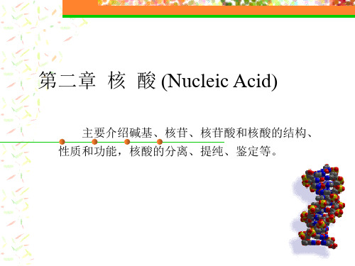 核酸化学ppt课件