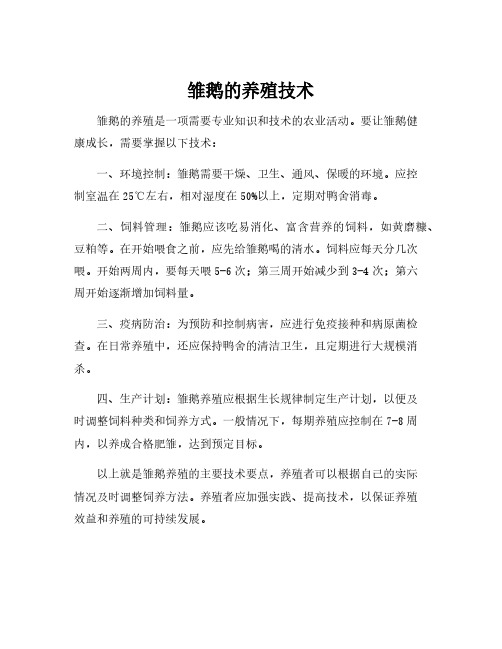 雏鹅的养殖技术