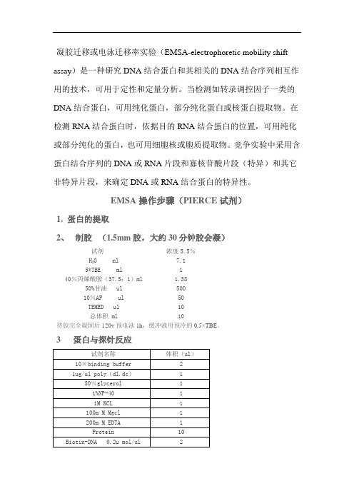 EMSA操作步骤