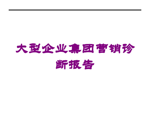 大型企业集团营销诊断报告培训课件