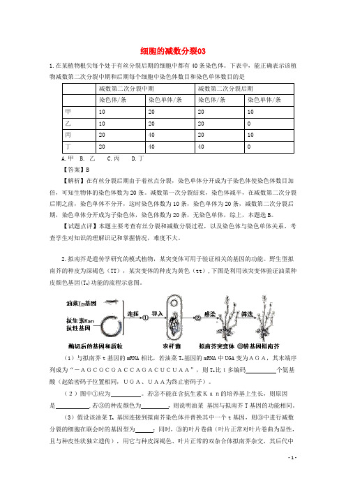 广东省天河区高考生物一轮复习 专项检测试题82 细胞的