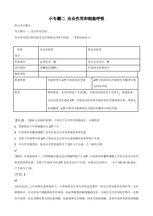 2012高三生物一轮复习学案专题2细胞代谢2光合作用和细胞呼吸