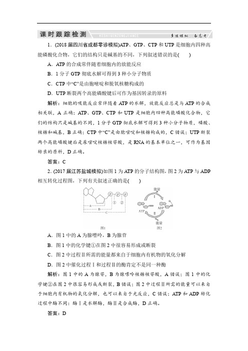 2020高三一轮总复习生物练习:课时跟踪检测3-2-1ATP与细胞呼吸的类型、过程 Word版含解析