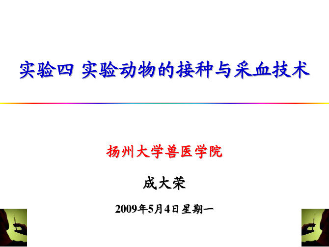 实验动物的接种与采血技术（论文资料）