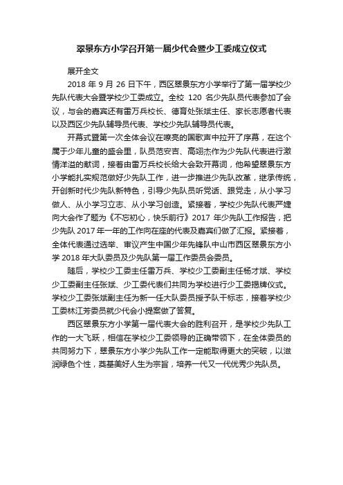 翠景东方小学召开第一届少代会暨少工委成立仪式