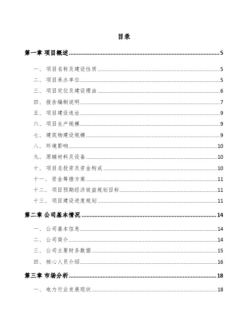 大连智能电表项目申请报告模板范文