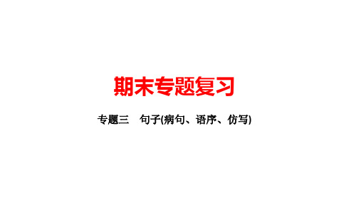 期末复习句子(病句、语序、仿写)—八年级语文下册部编版练习优秀PPT—八年级语文下册部编版