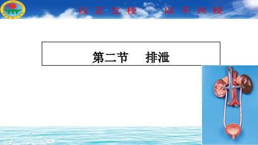 冀少版七年级生物下册课件：2.3.2排泄-肾脏 (共18张PPT)