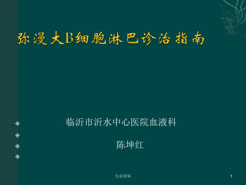 中国弥漫大B细胞淋巴瘤诊疗指南[专家指导]