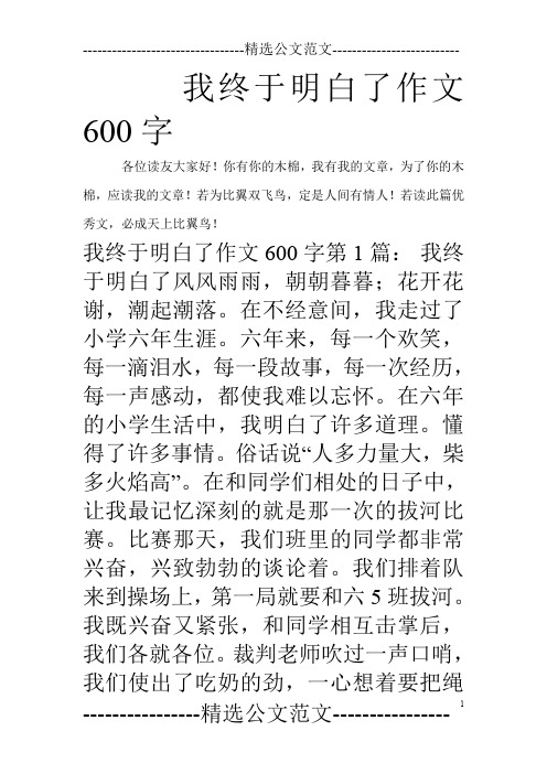 我终于明白了作文600字