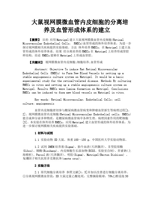 大鼠视网膜微血管内皮细胞的分离培养及血管形成体系的建立