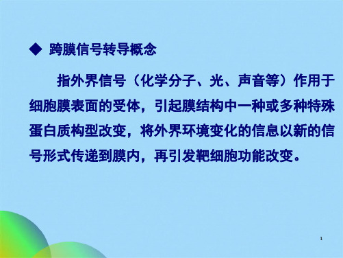 细胞的信号转导(共22张PPT)