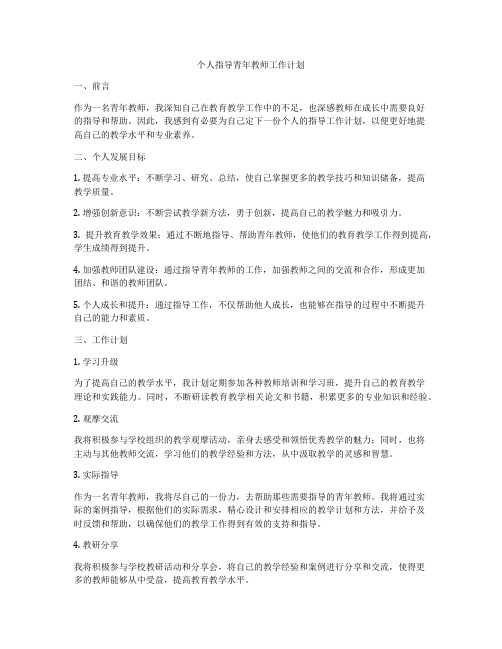 个人指导青年教师工作计划