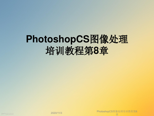 PhotoshopCS图像处理培训教程第8章