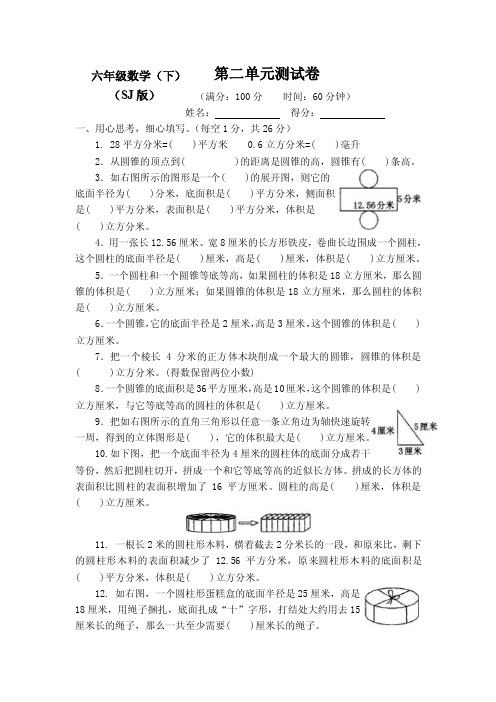 最新苏教版小学6六年级下册数学测试卷第二单元