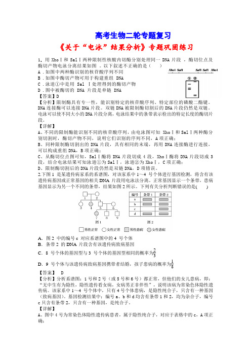 高考生物二轮专题复习：专题7 “电泳图谱” 分析题型归类(习题精练含答案详解)