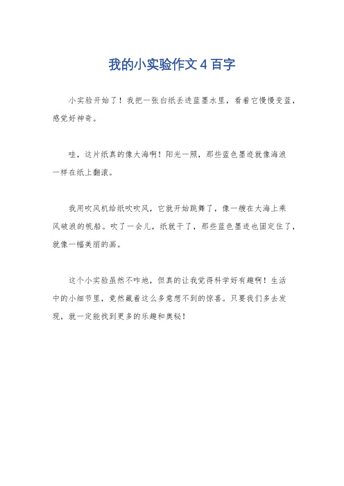 我的小实验作文4百字