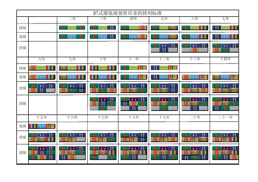 《07式服装级别资历章的排列标准》
