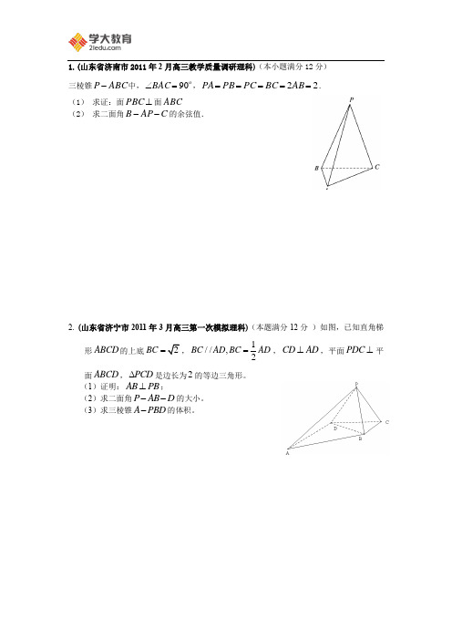 山东省实验中学高考数学一轮复习立体几何(3)