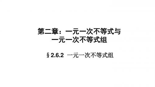 广东省河源市江东新区八年级数学下册第二章一元一次不