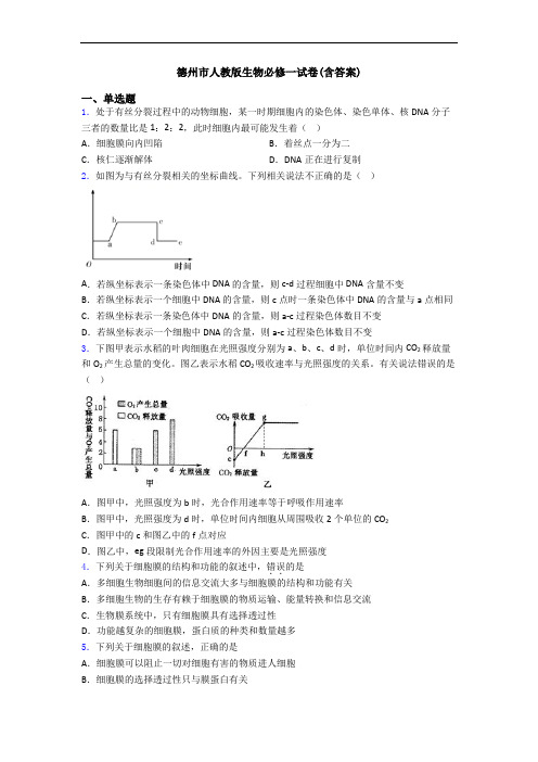 德州市人教版生物必修一试卷(含答案)