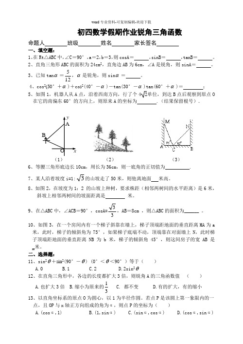 锐角三角函数单元测试(含答案)